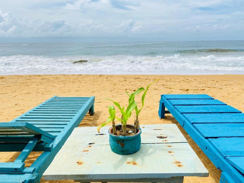 Ramya Ru Beach Home Galle Extérieur photo